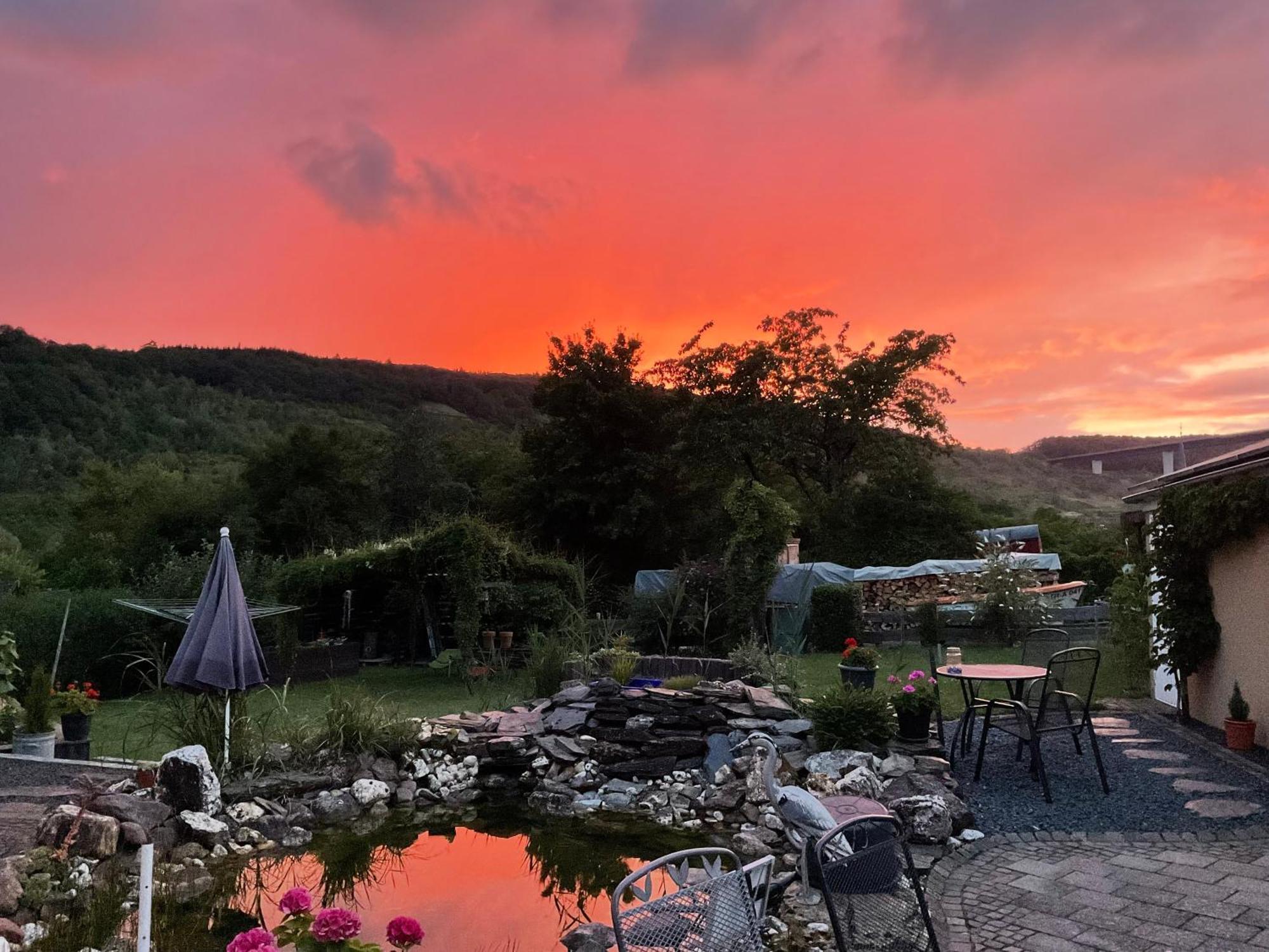 Ferienwohnungen Forneck Zeltingen-Rachtig Buitenkant foto