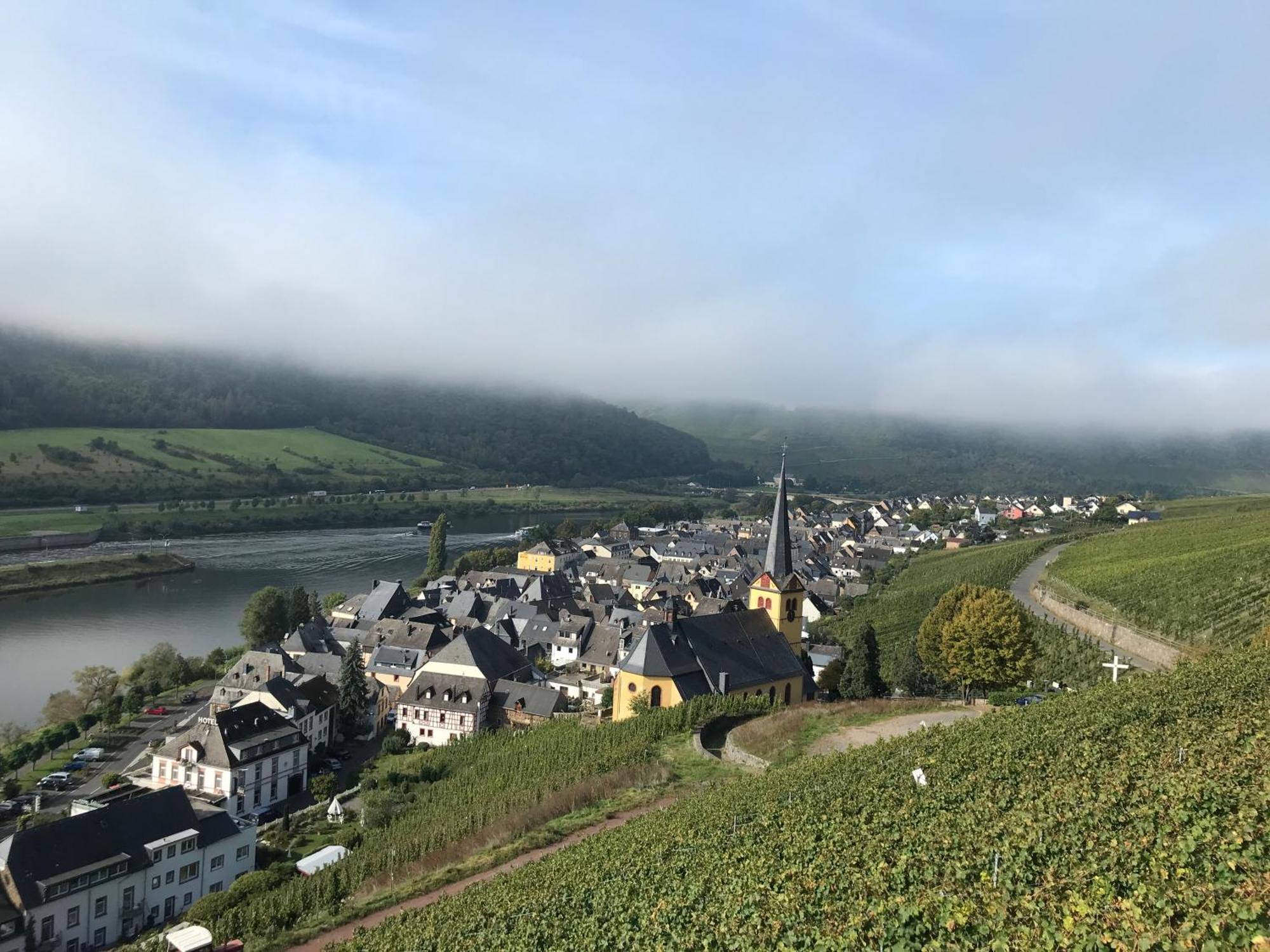 Ferienwohnungen Forneck Zeltingen-Rachtig Buitenkant foto
